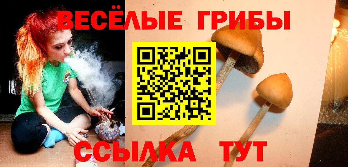 наркотики  Галлюциногенные грибы MAGIC MUSHROOMS  Вход с VPN  Печора 